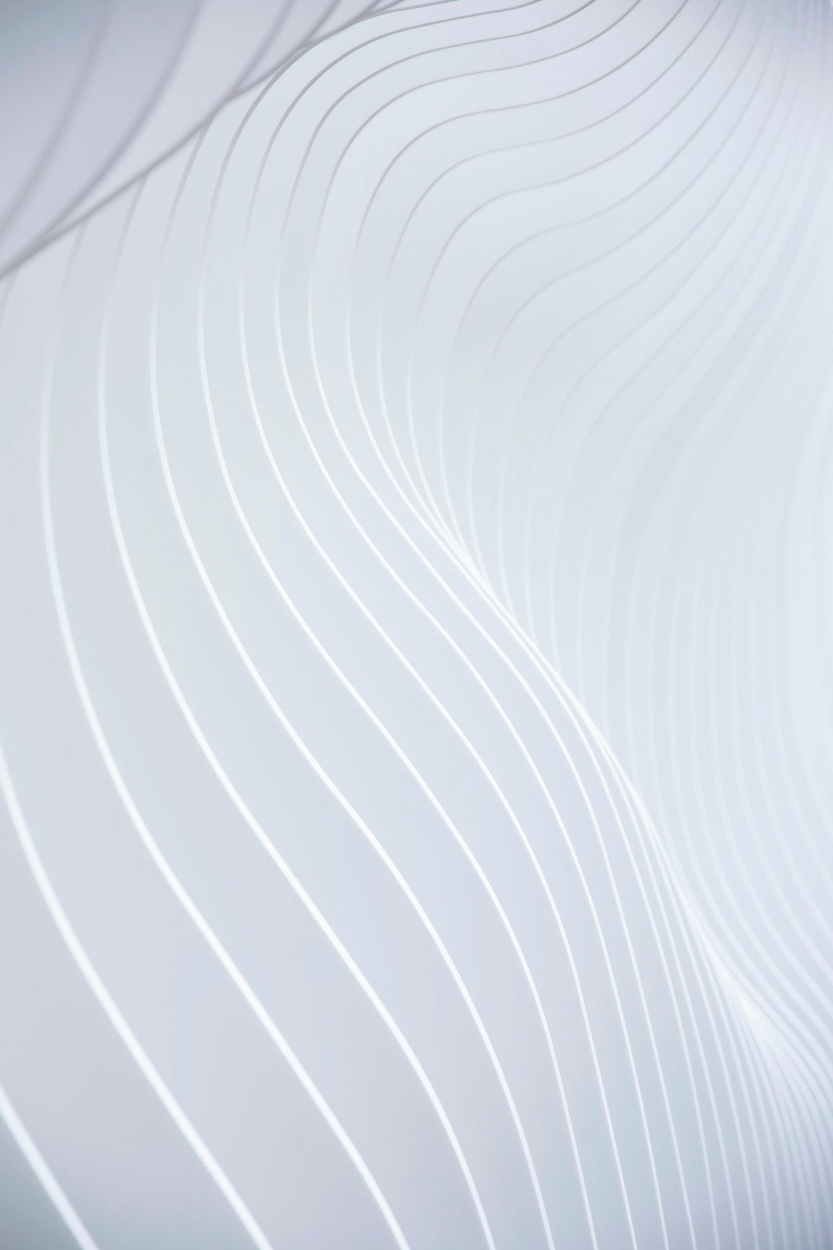 Wave Walls and Curved Plaster Walls